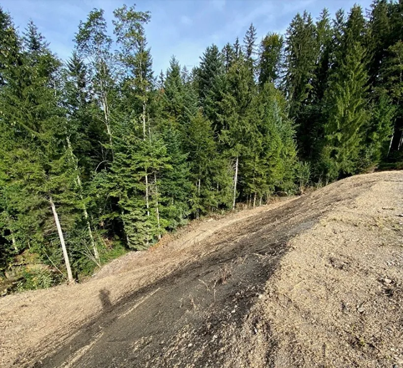 Ein Erddamm. Dahinter liegt ein Waldstück. 